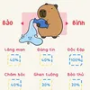 bnngthanh