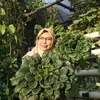 Jamila