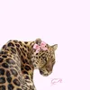 .videogamesslove_
