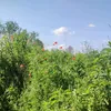 ahmedkarim45777