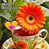 mojahidul.islam993