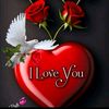 user25427953618177