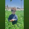 muntazirkakar918