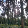 sophie_x_272
