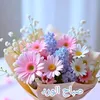 userdxmf345fsi