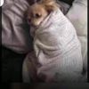 lorraine_raconte
