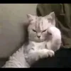 aleksandra._.b_