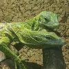 martin_fricke_3375