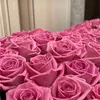 sarah63120