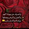 user7172557826600