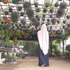 delarisi_store