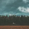 02112004pglinh