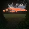 warnerformankind