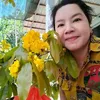 nguyn.th.thy.tran221