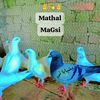 mathalialimangsi