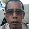 gazaligocar