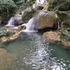 alanggiang1