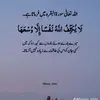 bintehawwa503