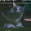 888chu4