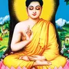 nguyen.phuong904