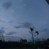wongkene22_