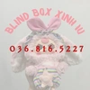 Blind box xinh iu