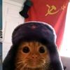 analny_terrorist5