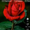 user3049573883497