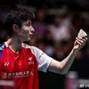 gấu mê 🏸
