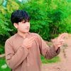 noorwalikhan452