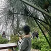 michuotnhungkhongtruot