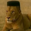 minhmanhphp