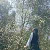 darshanachanara