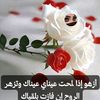 user340925303714