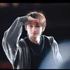 lovelycarats10