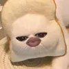 evelyyynh
