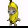 banana_cat12345678