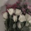 user5073613946006