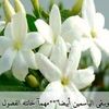 user27nlep89bk
