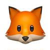 foxwell008