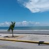 gussmendez452