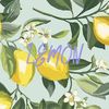 toxiclittlelemon