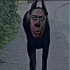kesleyaugusto4
