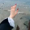 ورده🌹