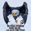 jasediaz8