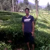 user82682422242112