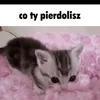 bombiasz_dresiaz