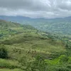 indekosinath