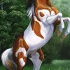 user9nvxmdr3kj