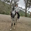 dalaltrb